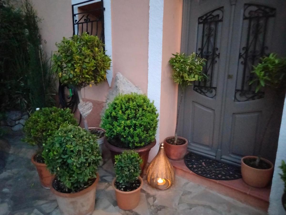 Les Penyetes Boutique Bed And Breakfast Campell Exteriér fotografie